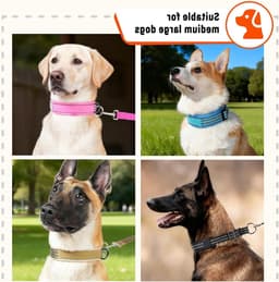 Verstelbare Martingale Halsband voor Honden - Khaki - Geschikt voor Middelgrote Rassen — thumbnail 8