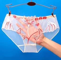Transparante Dames Slip met Bloemen Kant - Elegant en Stijlvol - Lingerie — thumbnail 2