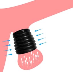 Fijne siliconen balzak ring - Ejaculatie vertragend - Scrotum stretcher - One size - Cockring — thumbnail 1