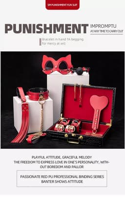 Dare to Undress – Fifty Shades of Grey – Luxe 8-delige BDSM Set met Opbergkoffer – Premium – BDSM Bondagesets - Valentijn Cadeau - Handboeien, Halsband, Masker, Gagbal & Zweep - Sex Toys voor Koppels - Seksspeeltjes voor mannen en vrouwen - Kinky — thumbnail 11