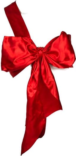 Naughty Knot 1,65m - 1,72m Busteomvang: AA-DD - Rood — thumbnail 4