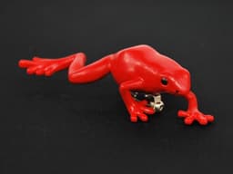 Rode kikker rubberen broche aardbei kikker dendrobates pumilio pijl gifkikker boomgaars rood giftige kikker regenwoud dendrobaten - handgemaakte modesieraden I reversspeld button pinnen — thumbnail 4