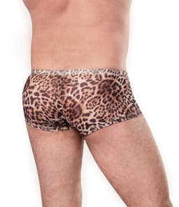 Amorable - Transparante Luipaard Heren Short - Panterprint M/L — thumbnail 3