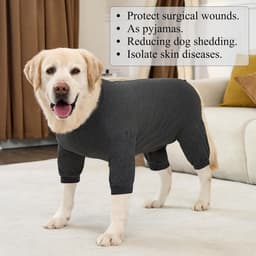 Na operatie body voor honden met ritssluiting, hond op body met benen, beschermend pak hond, kastratiebody, hond, medisch hondenbody, lekbescherming, wondbeschermingspak, honden — thumbnail 5