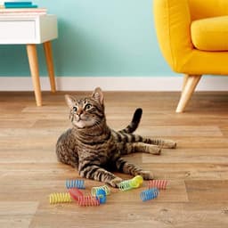 20 stuks kattenspringspeelgoed, 4 kleuren, kleurrijk, creatief kunststof spiraalveren, spiraalveren, spiraalveren, duurzaam interactief speelgoed voor katten, katten, huisdieren, speelgoed met spiraal — thumbnail 2