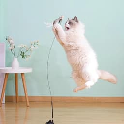 8 stuks reservekattenspeelgoed, kattenspeelgoed met belletjes, interactieve veerstaaf, kattenspeelgoedset, reserveveren voor kattenspeelgoed, kattenhengel, reserveveren, hanger voor katten — thumbnail 5