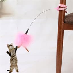 Kitten automatisch speelgoed met veren decoratie verlichten verveling benodigdheden kat amusing-kraag handsfree speelgoed — thumbnail 5