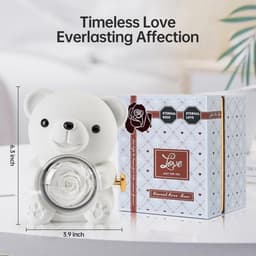 Romantische teddybeer met geconserveerde roos en hartvormige halsketting - Perfect cadeau voor Valentijnsdag, Moederdag en bruiloften — thumbnail 3