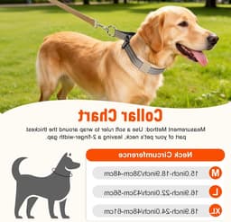 Verstelbare Martingale Halsband voor Honden - Khaki - Geschikt voor Middelgrote Rassen — thumbnail 3