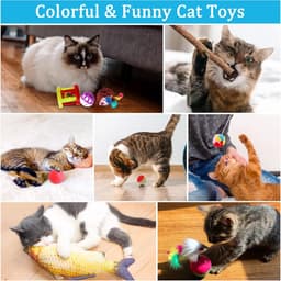 33-delige kattenspeelgoedset met kattentunnel, kattenspeelgoed, variety pack voor Kitty katten — thumbnail 4