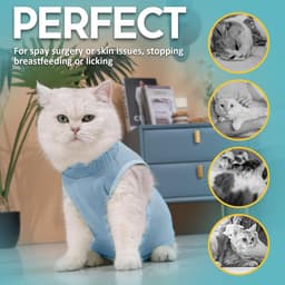 Kat Herstelpak - Kitten Onesie voor Katten Na Operatie, Cone of Shame Alternatief Chirurgisch Spay Pak voor Vrouwelijke Kat, Bescherming Na Operatie of Huidziekter -Blauw(S) — thumbnail 3