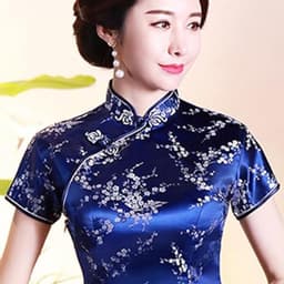 Etnisch Cheongsam Damesshirt met Korte Mouwen en Pruimenprint — thumbnail 7