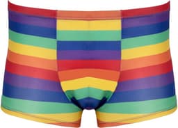 Kleurrijk Regenboog Shorts Mannen — thumbnail 5