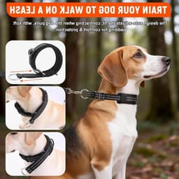 Verstelbare Martingale Halsband voor Honden - Khaki - Geschikt voor Middelgrote Rassen — thumbnail 2