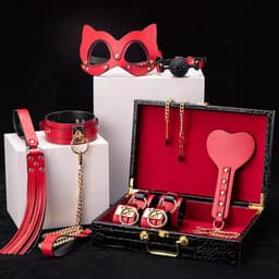 Dare to Undress – Fifty Shades of Grey – Luxe 8-delige BDSM Set met Opbergkoffer – Premium – BDSM Bondagesets - Valentijn Cadeau - Handboeien, Halsband, Masker, Gagbal & Zweep - Sex Toys voor Koppels - Seksspeeltjes voor mannen en vrouwen - Kinky — thumbnail 7