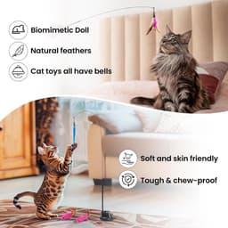 Kattenspeelgoed Set - 13 Stuks Met Hengel en Zuignap Voor Zelfbezigheid - Geschikt Voor Kittens en Katten — thumbnail 5