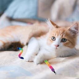Toverstaf voor reservekatten, navulaccessoires voor kattenstok regenboog-3 — thumbnail 2