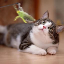 Kattenveren toverstaf speelgoed, 3 stuks simulatie sprinkhaan vullingen vervanging met klokken voor kat kitten spelen run stuiteren blijven actief — thumbnail 3
