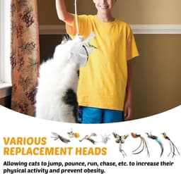 8 stuks kattenspeelgoed veer vervanging interactief kattenspeelgoed staafnavullingen katten teaser speelgoed navullingen met belletjes voor kattenspeelgoed katten toverstaf — thumbnail 5