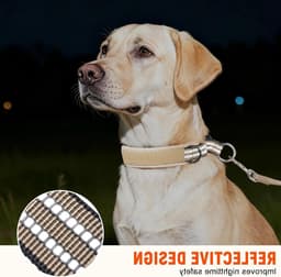 Verstelbare Martingale Halsband voor Honden - Khaki - Geschikt voor Middelgrote Rassen — thumbnail 4