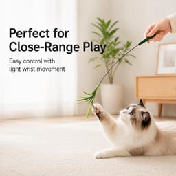veer, set van 2 kattenhengels met veren, interactief speelgoed voor katten binnenshuis — thumbnail 3