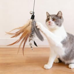 8 stuks kattenveren vullingen voor katten, natuurlijke veervullingen en duurzame kattentoverstaf teaser-hulpstukken voor oefeningen en verveling — thumbnail 5