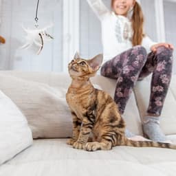 8 stuks kattenspeelgoed veer vervanging interactief kattenspeelgoed staafnavullingen katten teaser speelgoed navullingen met belletjes voor kattenspeelgoed katten toverstaf — thumbnail 4