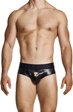 MODUS VIVENDI Prince Albert Classic Brief - MAAT M - Erotisch Heren Ondergoed - Slip voor Man - Sexy mannen Slip — thumbnail 3