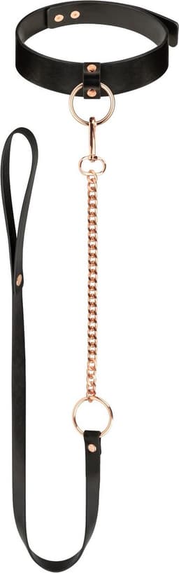 Rosy Gold - Halsband met Leash - Zwart — thumbnail 2