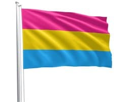 Panseksuele vlag 90 x 150 cm
