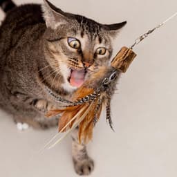 Veervullingen voor Cat Wand Toys Interactive inclusief vervangende muis — thumbnail 5
