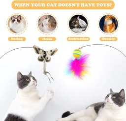Interactief kattenspeelgoed, kattenspeelgoed, interactief kattenspel met zuignap en veren, hengel, kat, toverstaf met kattenklokken voor het trainen van katten en kittens (B) — thumbnail 2