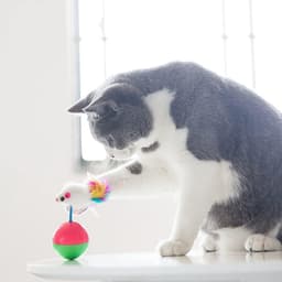 2 stuks kattenspeelgoed, staande mannetjes, muis, katten, tumbler speelgoed, interactief veer, kattenspeelgoed, training binnen tuimelballen, kattenspeelgoed voor interactief spelen — thumbnail 3