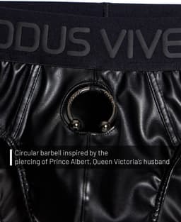 MODUS VIVENDI Prince Albert Classic Brief - MAAT M - Erotisch Heren Ondergoed - Slip voor Man - Sexy mannen Slip — thumbnail 7
