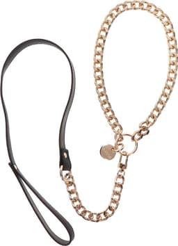 Statement Collar and leash — thumbnail 4