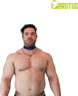 Brutus Vegan Puppy Collar - Zwart/Blauw — thumbnail 3