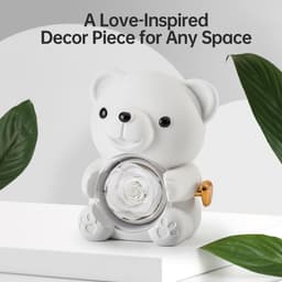 Romantische teddybeer met geconserveerde roos en hartvormige halsketting - Perfect cadeau voor Valentijnsdag, Moederdag en bruiloften — thumbnail 7