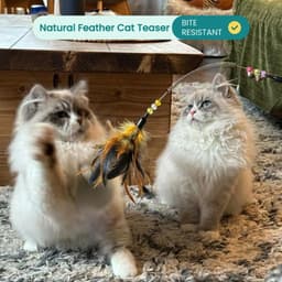 Kattenhengel met veer, interactieve speelballen voor kleine en grote katten (roze) — thumbnail 3
