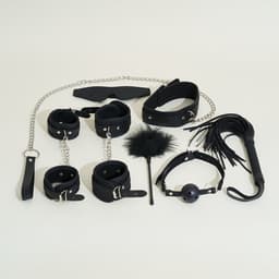 BDSM-reiskoffer Bond — thumbnail 4
