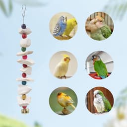 Dnoifne 2pcs Bird Toys with Cut Bone - Parakeet Cage Accessories with Beak Grinding Stone - ShopVlot — thumbnail 5