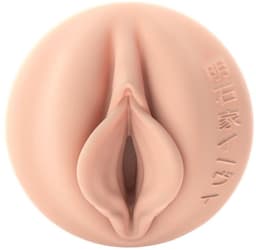 Fleshlight Fantasy - Evie Akashiya Sho Akuma Signature Vagina — thumbnail 4