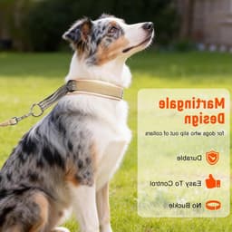 Verstelbare Martingale Halsband voor Honden - Khaki - Geschikt voor Middelgrote Rassen — thumbnail 5