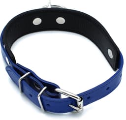 Kiotos - Zwart/Blauwe Lederen Collar met Grote O-Ring — thumbnail 3