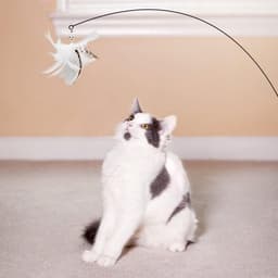 8 stuks kattenspeelgoed veer vervanging interactief kattenspeelgoed staafnavullingen katten teaser speelgoed navullingen met belletjes voor kattenspeelgoed katten toverstaf — thumbnail 3