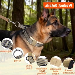 Verstelbare Martingale Halsband voor Honden - Khaki - Geschikt voor Middelgrote Rassen — thumbnail 6