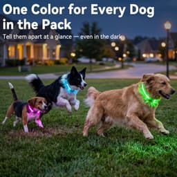 4 stuks Halsband lichtgevend - LED band - Honden halsband - Dog collar light - Verlichting hond - Op maat te knippen - oplaadbare LED-hondenhalsband- 28-40 cm - USB oplaadbaar - fluorescerende hondenhalsband voor in het donker — thumbnail 2