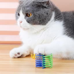 Spiraalveren, nieuw huisdierspeelgoed voor katten, kattenspringspeelgoed, kunststof, kleurrijke spiraalveren — thumbnail 2