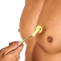 XR Brands - Wartenberg Wiel - Goud — thumbnail 2