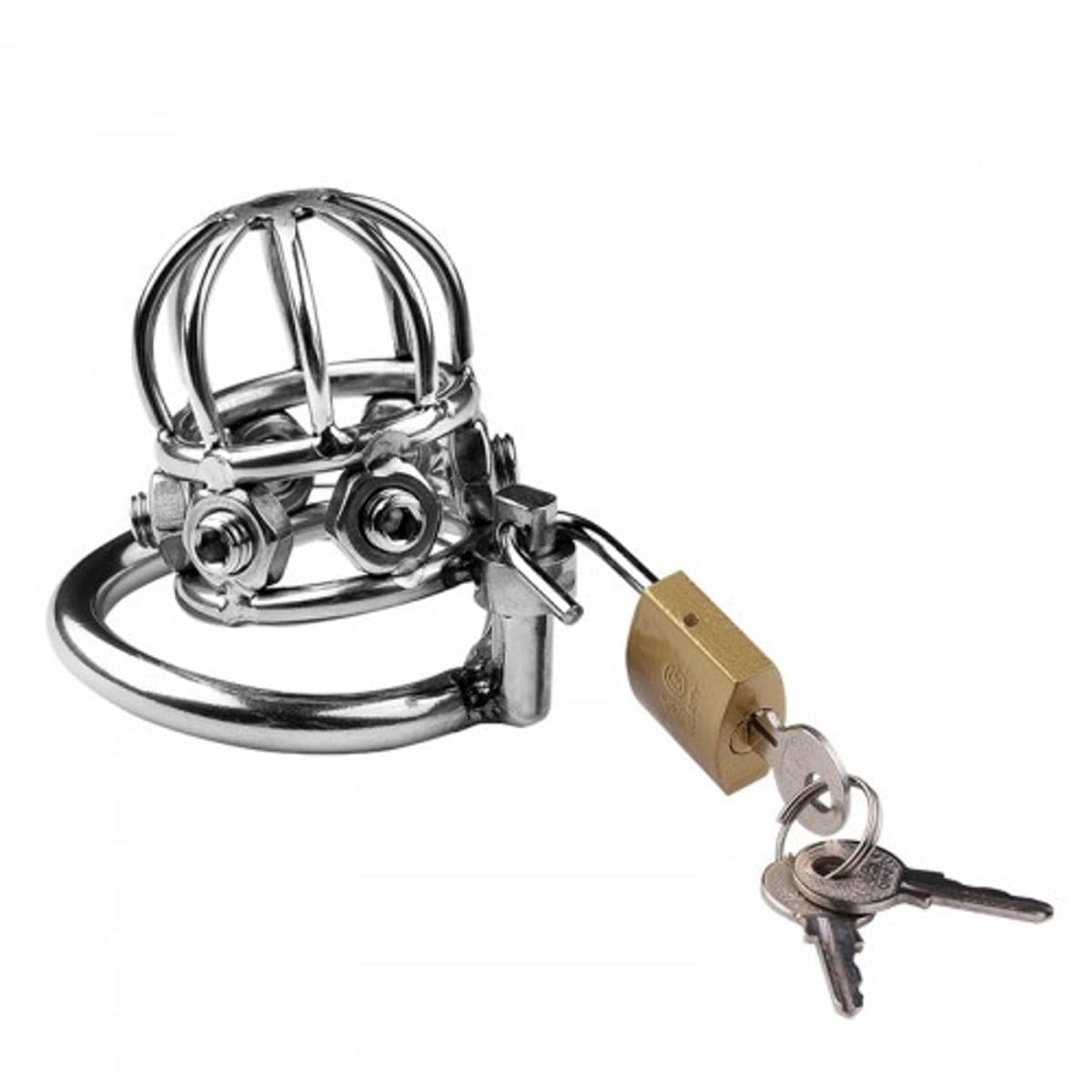 Nooitmeersaai - Peniskooi met hangslot en pinnetjes - Metaal - Zilverkleurig - 50 mm — afbeelding 1