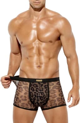 Transparante Boxershort Heren Luipaardprint Elastisch Ondergoed — thumbnail 5